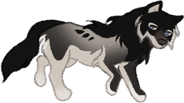 [Image: 122132594-qkn-ISXz-S8sr-Yz-H6.png]
