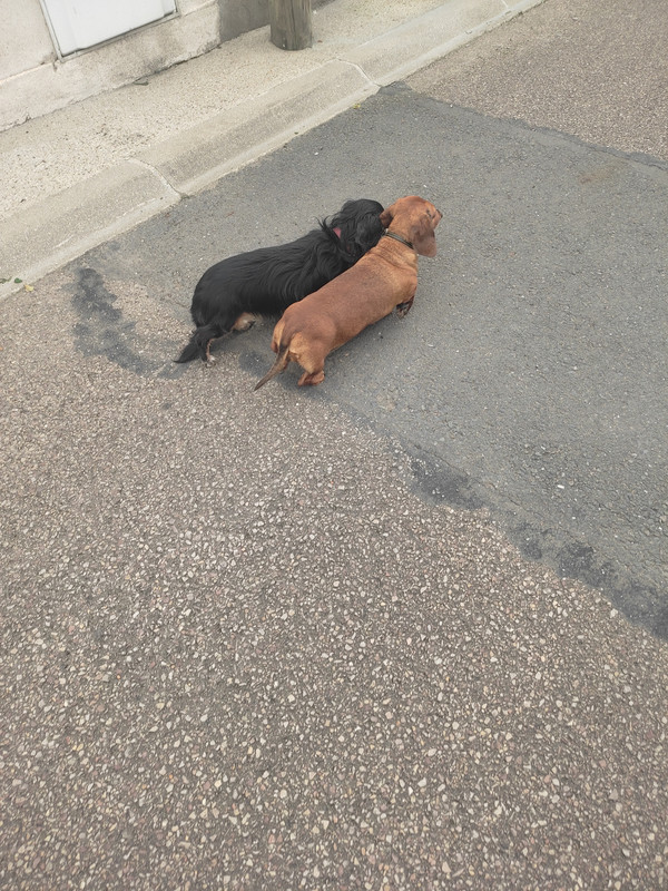 [Image: IMG-20250718-180101.jpg]