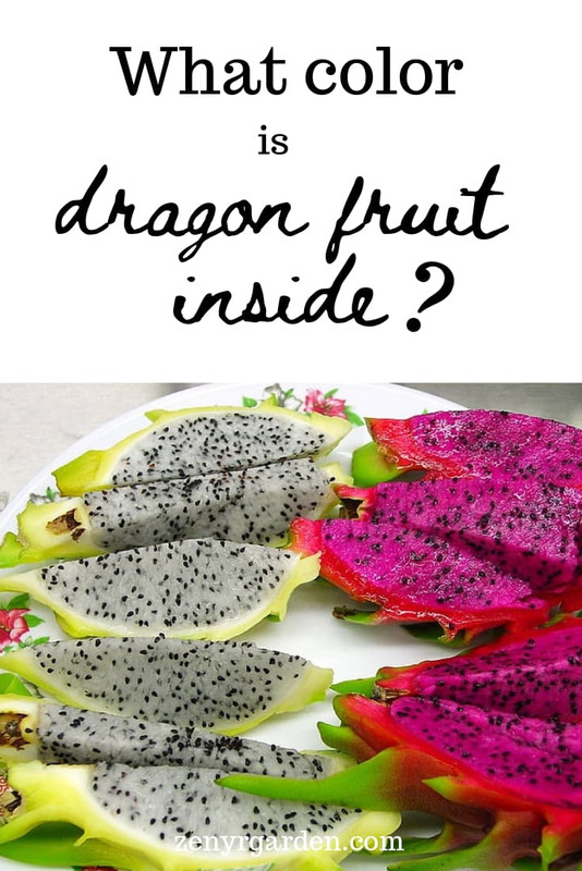 what-color-is-dragon-fruit-inside-pin.jpg