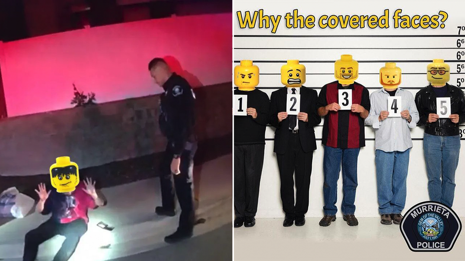 Lego-split-image-1