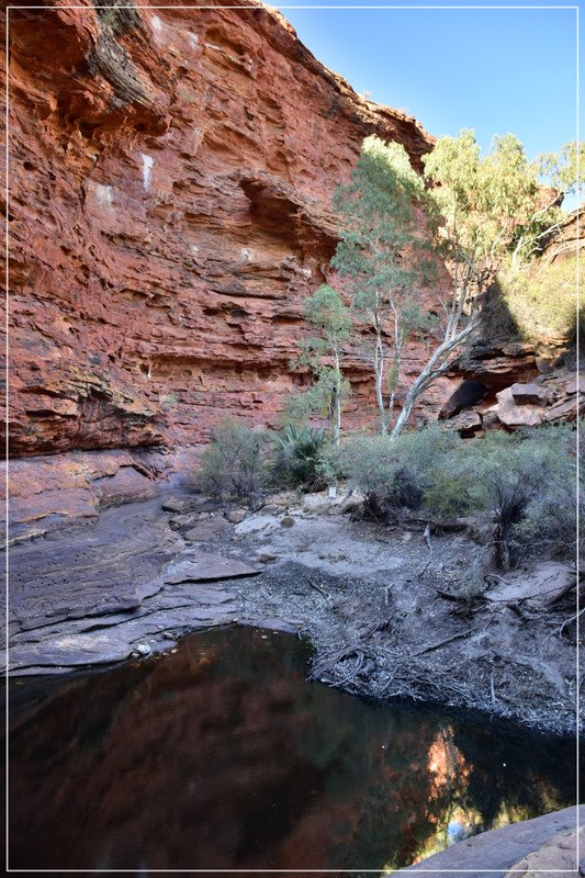 Red Center - Australia (I): toma de contacto (39)