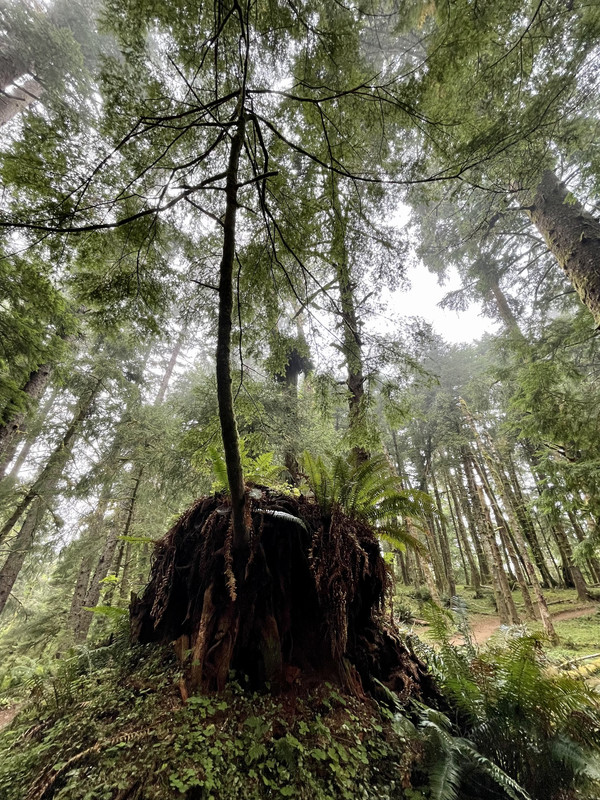 6D0555A7-D057-4D1E-B4DB-5067B0AA05EF