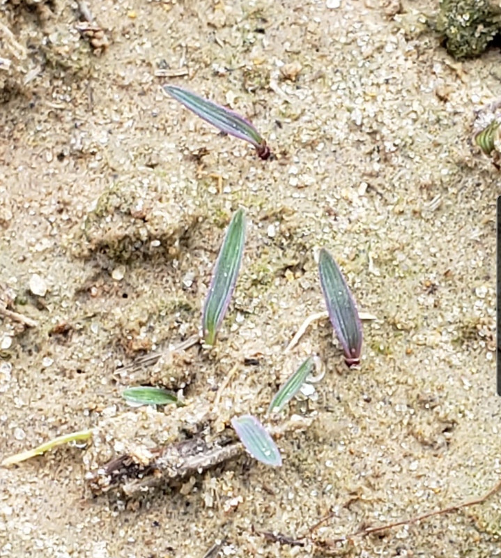 SmartSelect_20210625-102350_Gallery