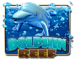 DOLPHIN