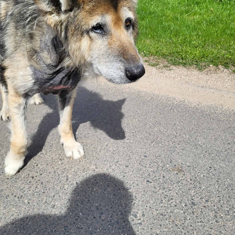 B1EF71DE-145B-4BAE-BCDF-16DA3CE03524