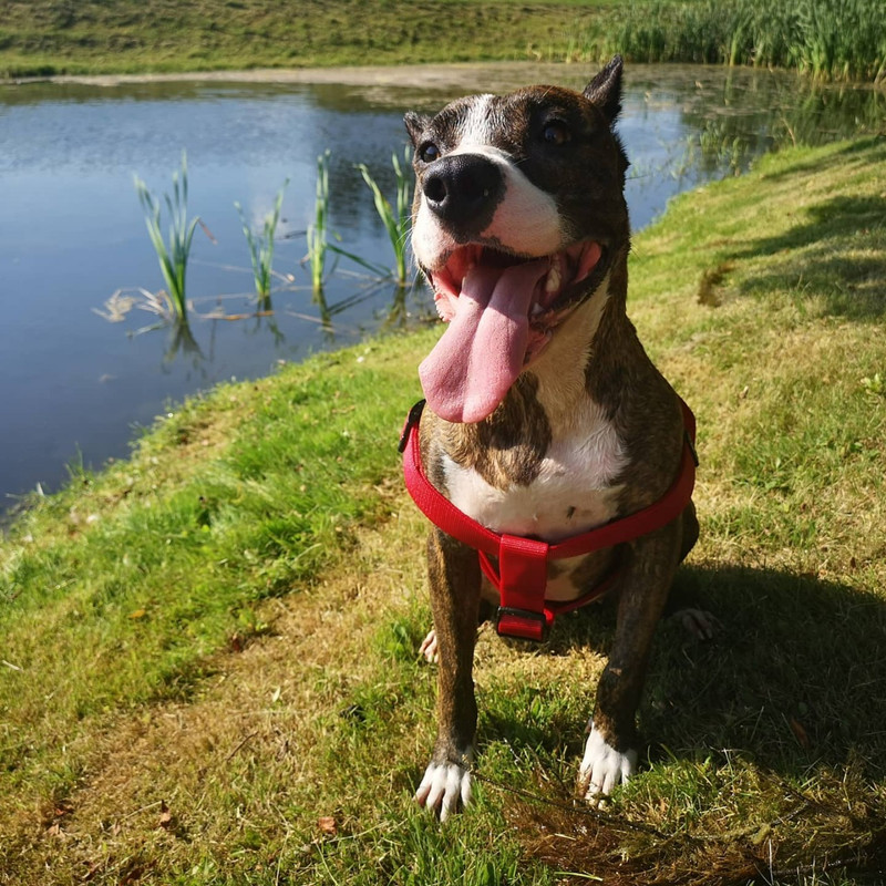 140114EC-DD28-43D4-9A38-0396C5D40861