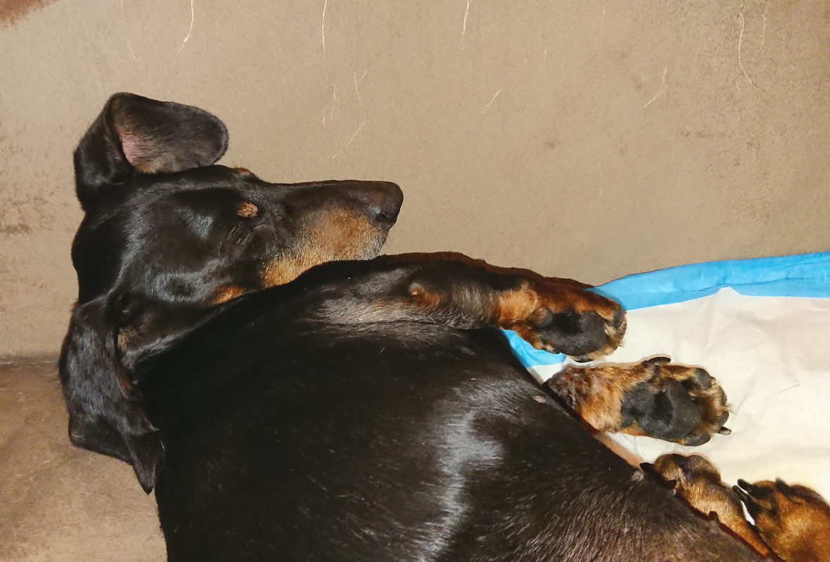 [Image: 20230807-003320.jpg]