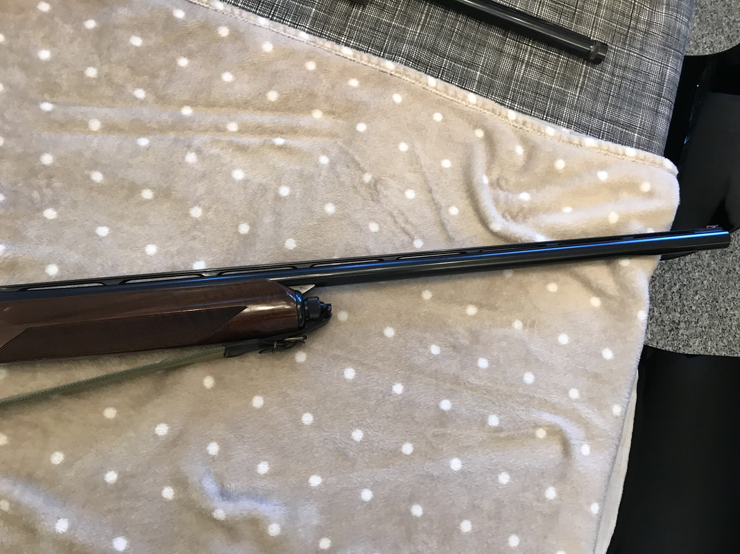 7AC064F7-2502-4E15-90B8-D9384C28954A