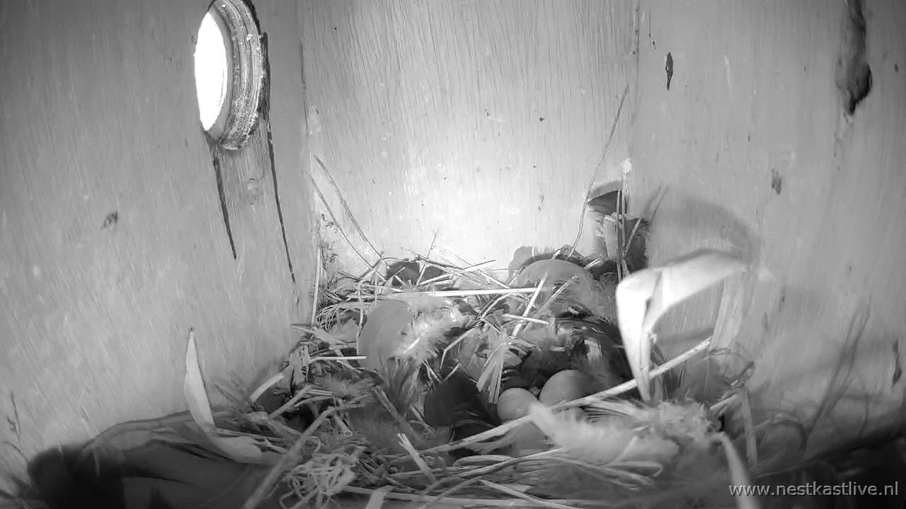 snapshot 2026 04 12T145500 267