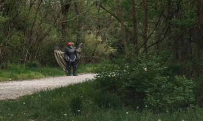 Makhluk aneh bersayap di tengah hutan terekam kamera Google Maps Street View.