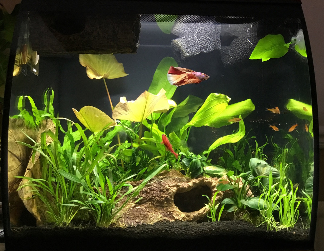 5ADF5CAE-41E4-4AD7-86E0-F2E023A5D378