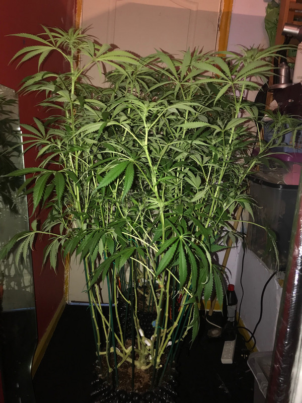 F56E31CF-7A79-4D4F-85D1-7D6C1C4FC0F3