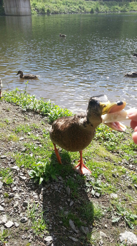 169635_243144582471101_1816419039_o