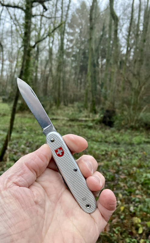 2820C2DD-7242-4917-B9E1-069FDDB8FA66