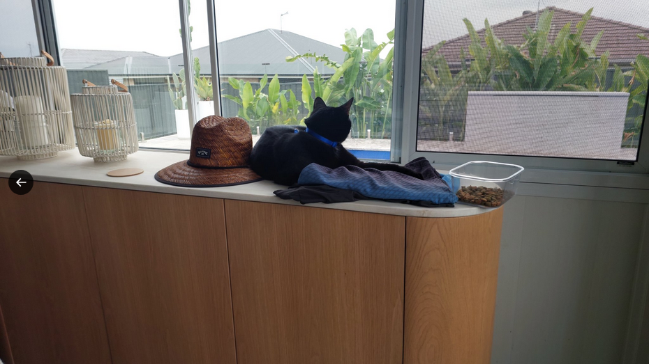 Screenshot 2026 02 12 at 17 30 17 Sir M B Anshaw ( djebel) X