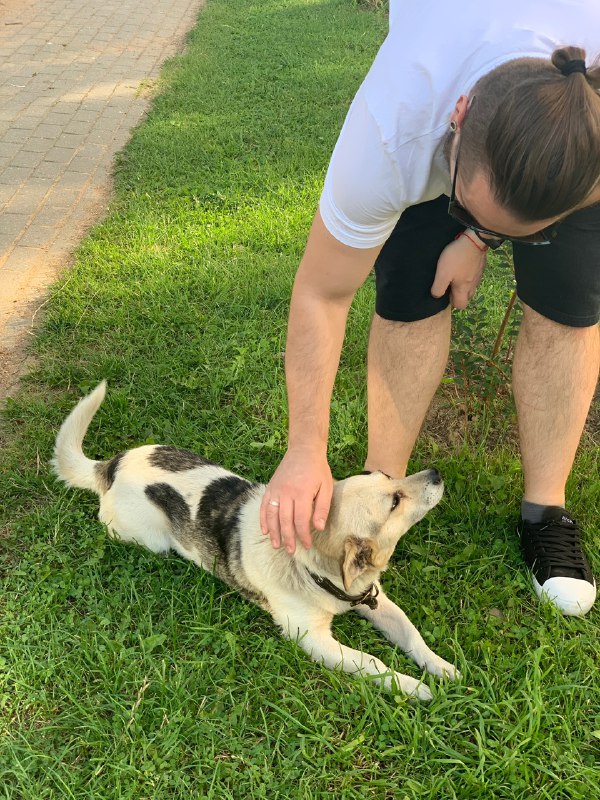 c900a5fc-9206-45f3-b503-9c36e86e24b8