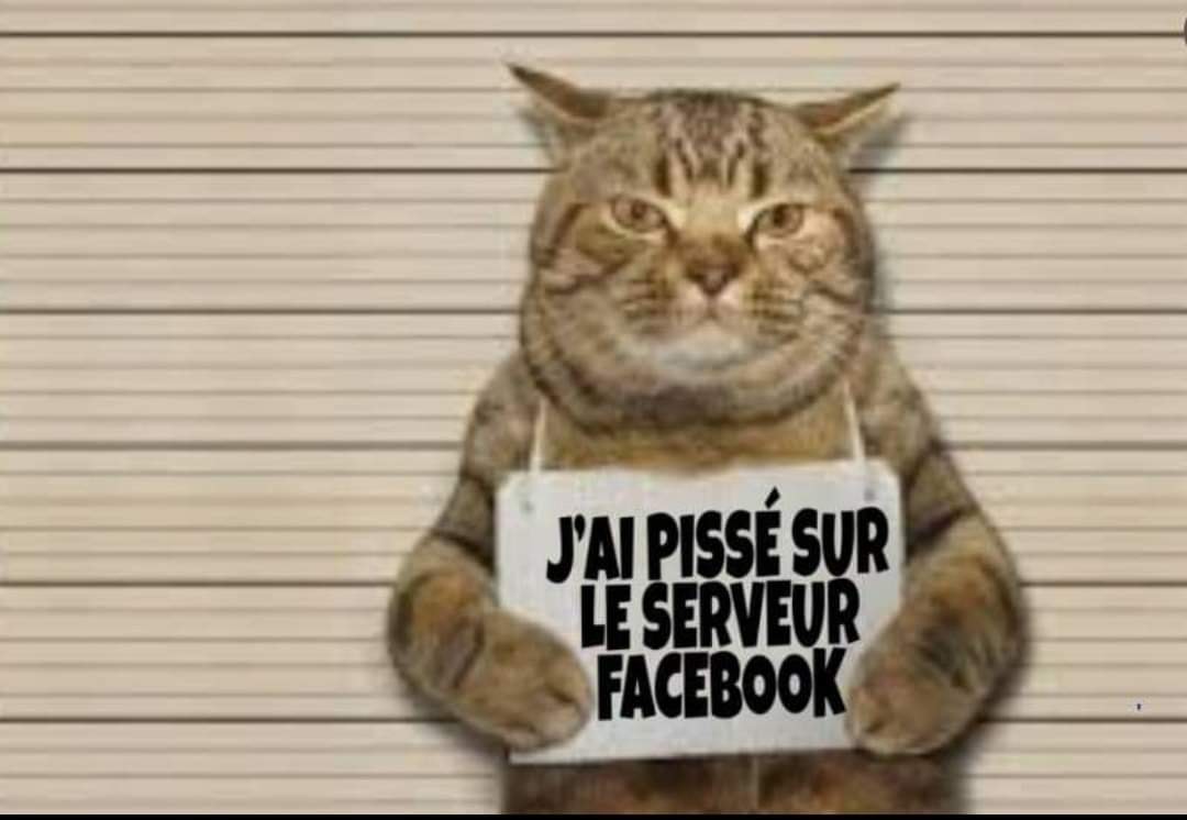 Blagues Et Bonne Humeur C Est Ici Page 80 Ma Bmw Com