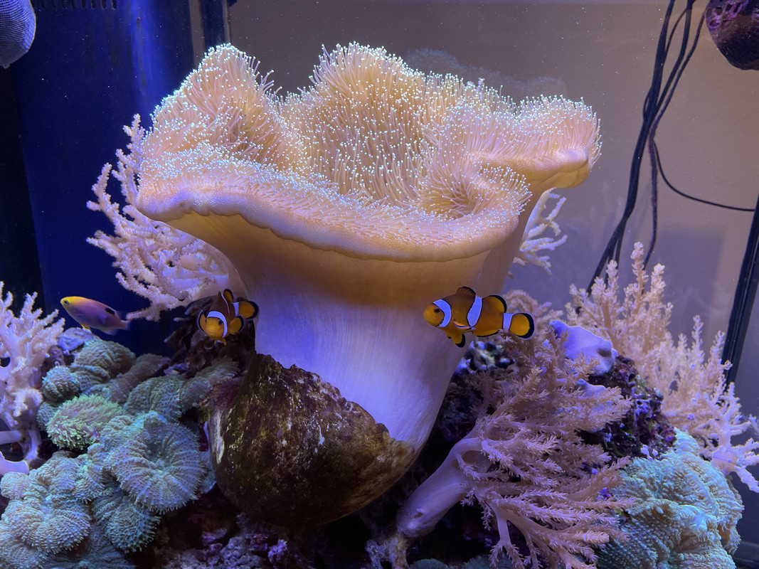 25349CBE-EC3C-46FB-8698-52363911EDD8