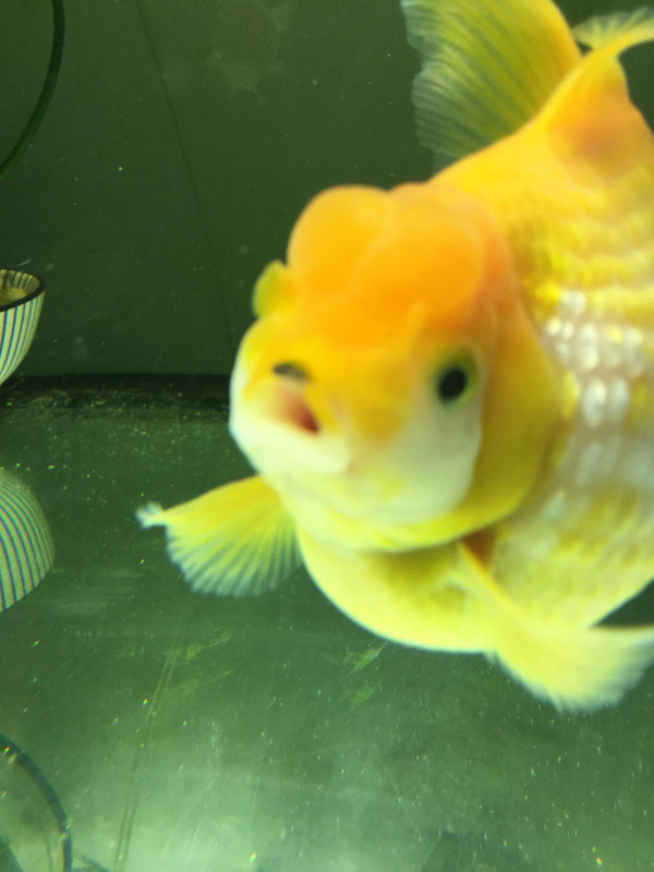 2C82EAA6-8730-4756-86E1-E25123F7381C