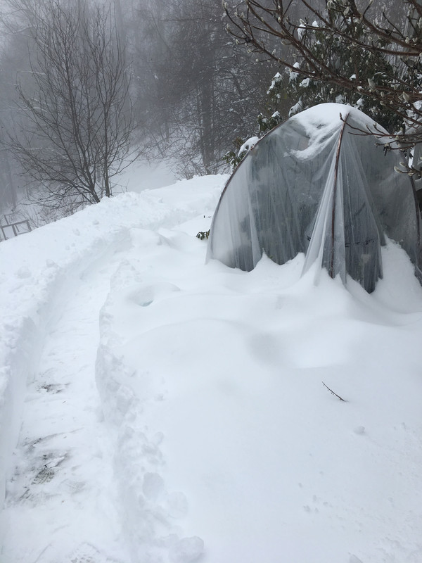 3A70EAB9-4D6C-436B-9B15-D3C2A4FA7D38