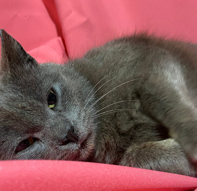 8321FED5-393D-4068-94D8-5B42725AFC5E