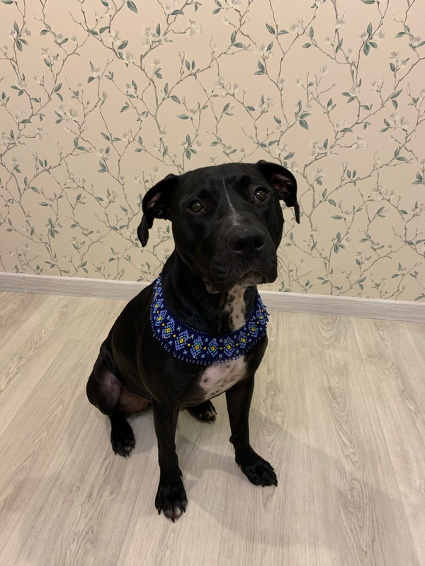 BA58241B-2CF1-4580-A893-430210CC59C9