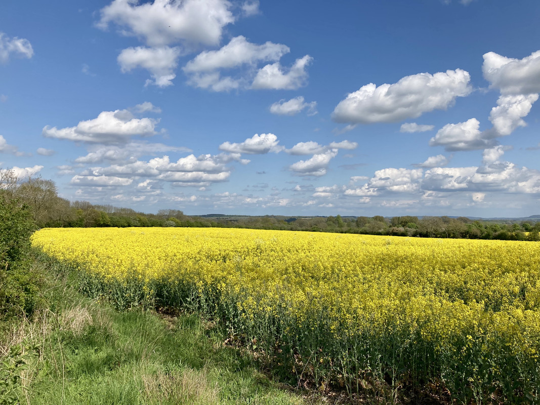 FAC46F77-BA82-4C2D-83DE-5E22F6B938D5