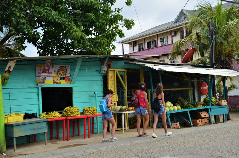 CRUCERO CARIBEÑO CON MSC OPERA-SEPTIEMBRE-2017 - Blogs de Cruceros y Mares - ISLA DE ROATAN-13-9-2017-HONDURAS (163)