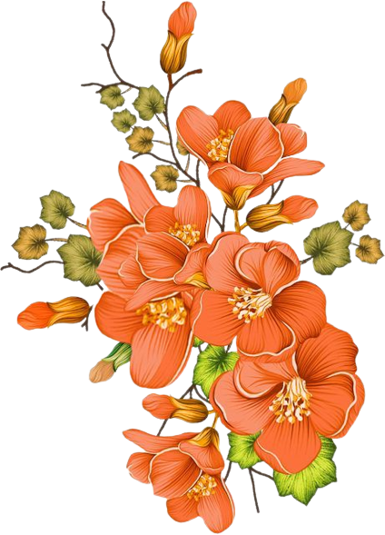 c55d29eeba06d6ff9efcad33cca697f5-removeb
