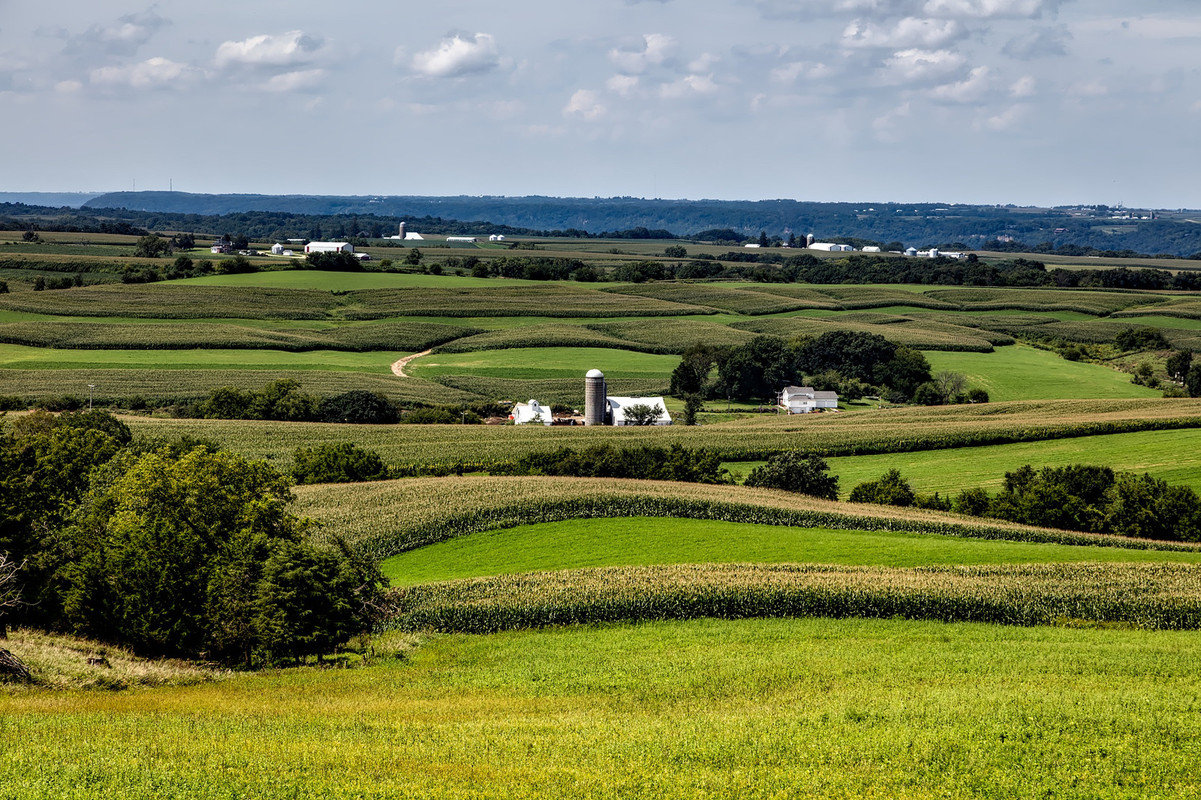 greentreesfarmland.jpg