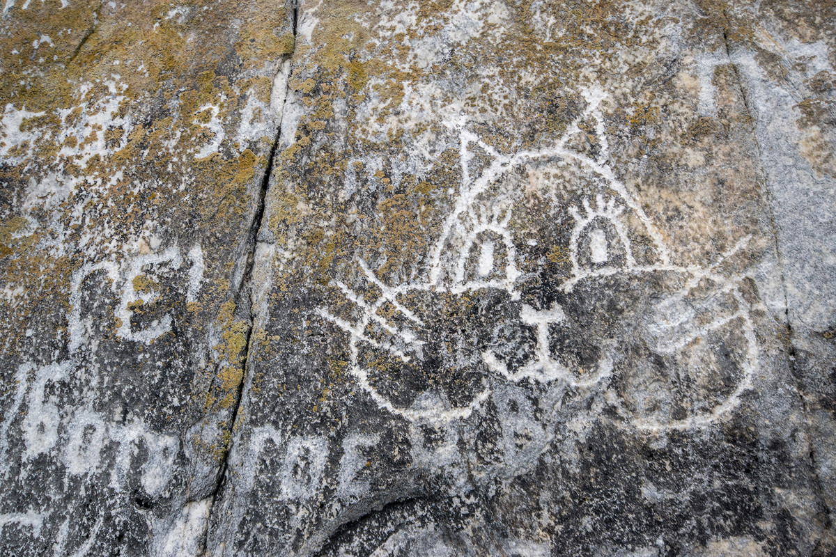 без имени-50