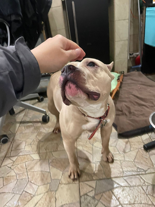 WhatsApp Image 2024-02-04 at 19.59.41 (1)