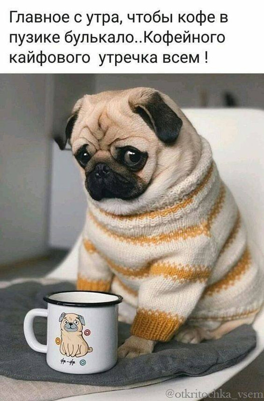 C938D3B5-EE42-47AE-B44C-977269055EC7