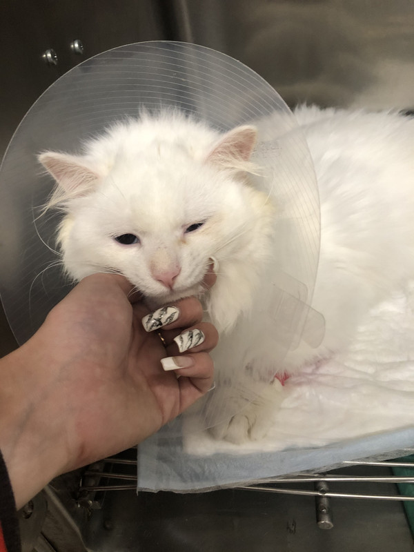 0641FD32-F0E6-4511-A165-3F6233A97047