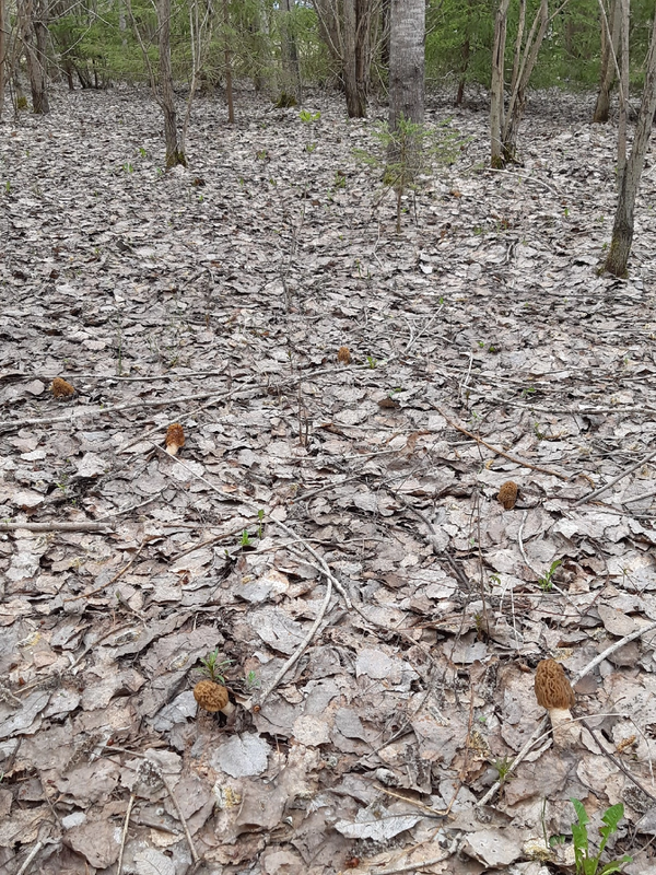 C9B8E000-4F0F-484B-AE93-2F3F4ABCD030