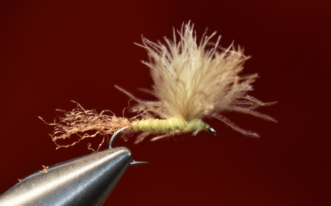 Yellow Dun CDC Sulfur