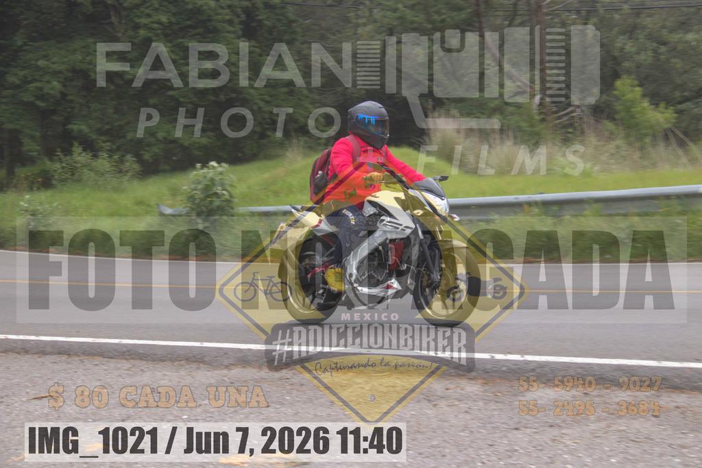 IMG 1021