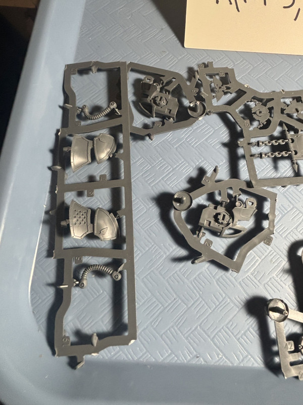 Cerastus Knight Acheron 17