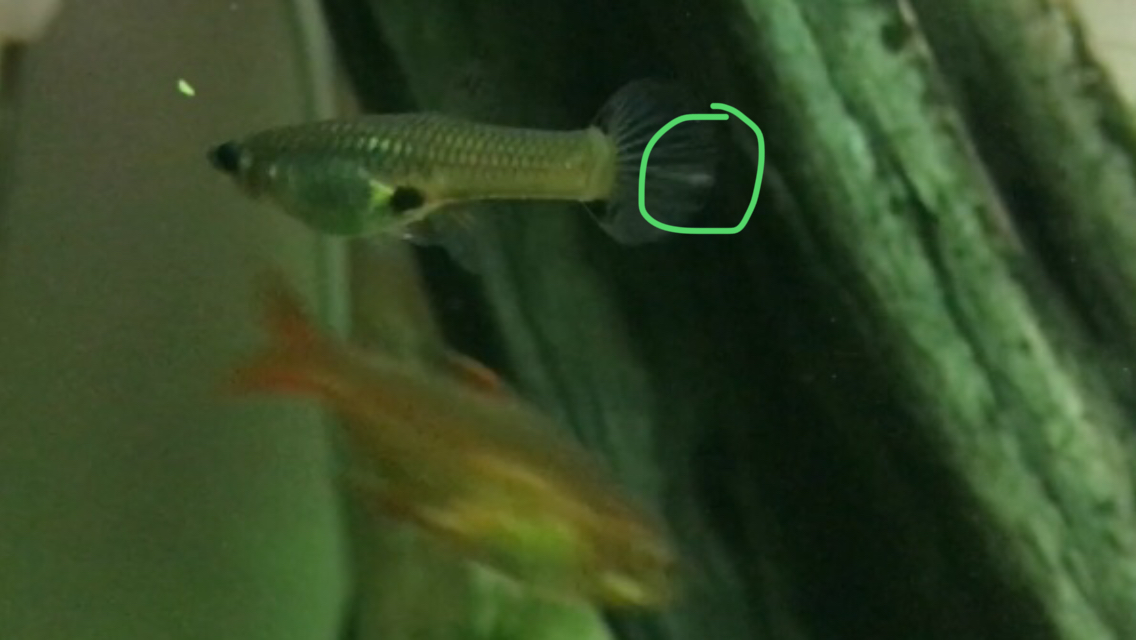 D8E98112-5A28-4FDA-ABAC-8461C9C3F276