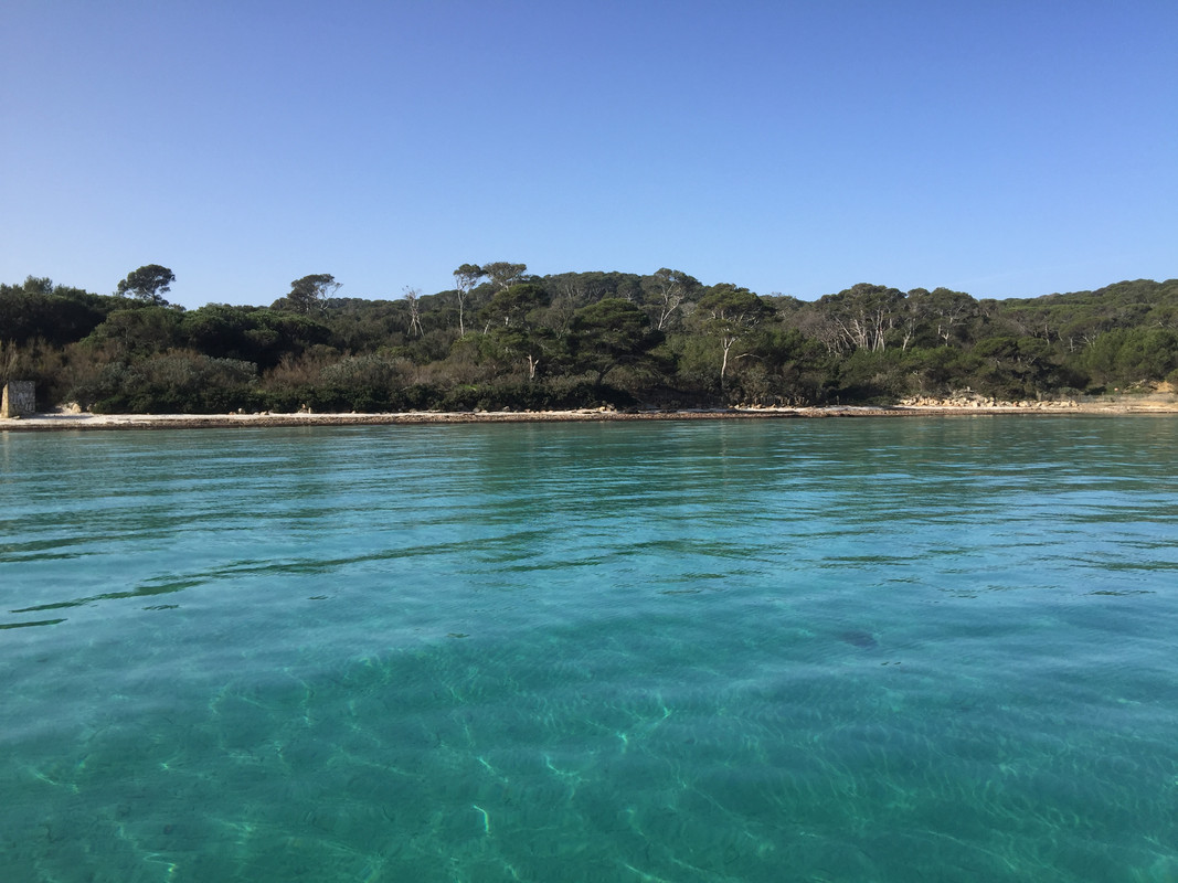 1A28AC5B-BD1D-4A70-A188-650865996974