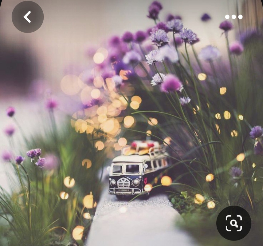 Screenshot_20230816_234519_Pinterest