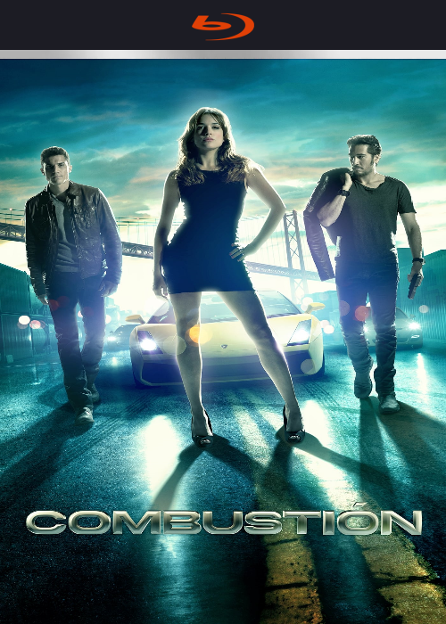 Combustion-2013.png
