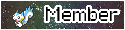 Member Member