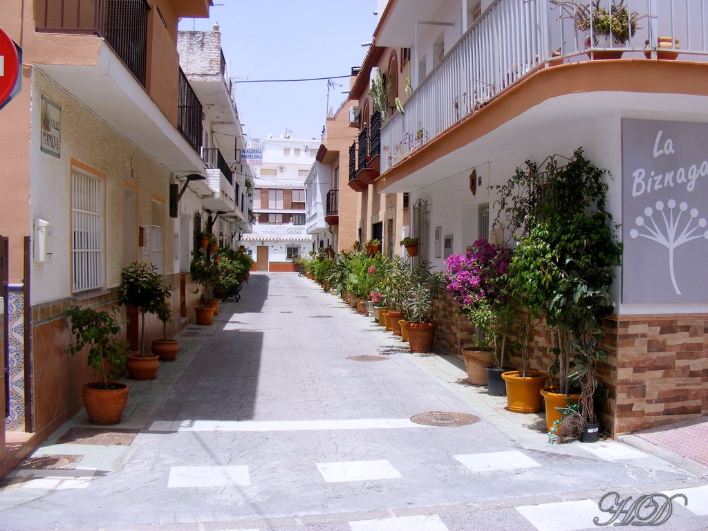 La-Biznaga-Benal-HD.jpg
