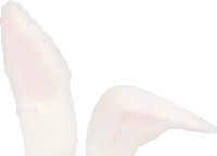 droopy-daisy on Tumblr droopy-daisy on Tumblr