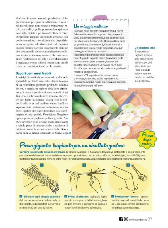 Pol Ver Set 2023 (6)