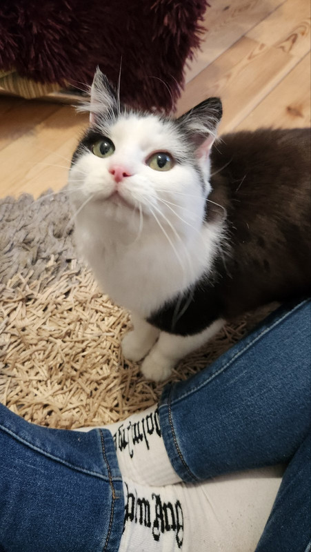 IMG-fb43dfeb55facf17d9eead927d4523f0-V