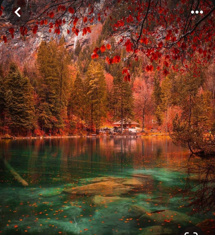 Screenshot_20231128_181355_Pinterest