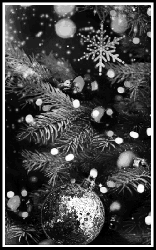 FF3C4077-F2CB-430B-8549-A5594274722B