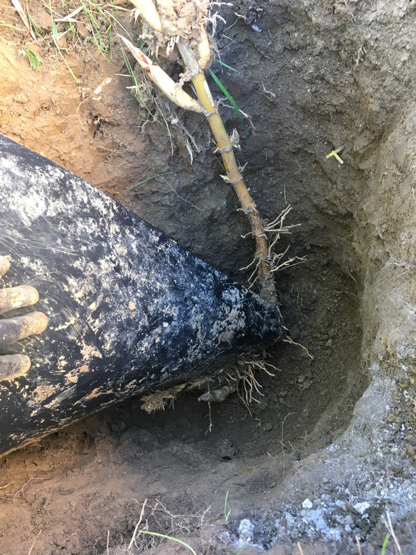 75D9198C-6035-4C85-988A-58F0C7DE5D7A